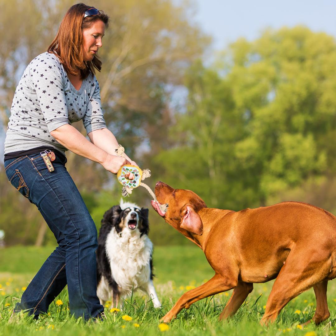 Jouet de chien interactif en forme de beignet