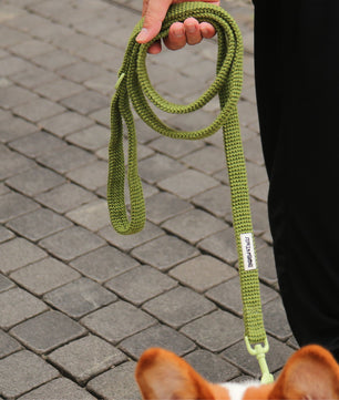 Ensemble comprenant un harnais pour pull, une laisse et un porte-sacs à crottes