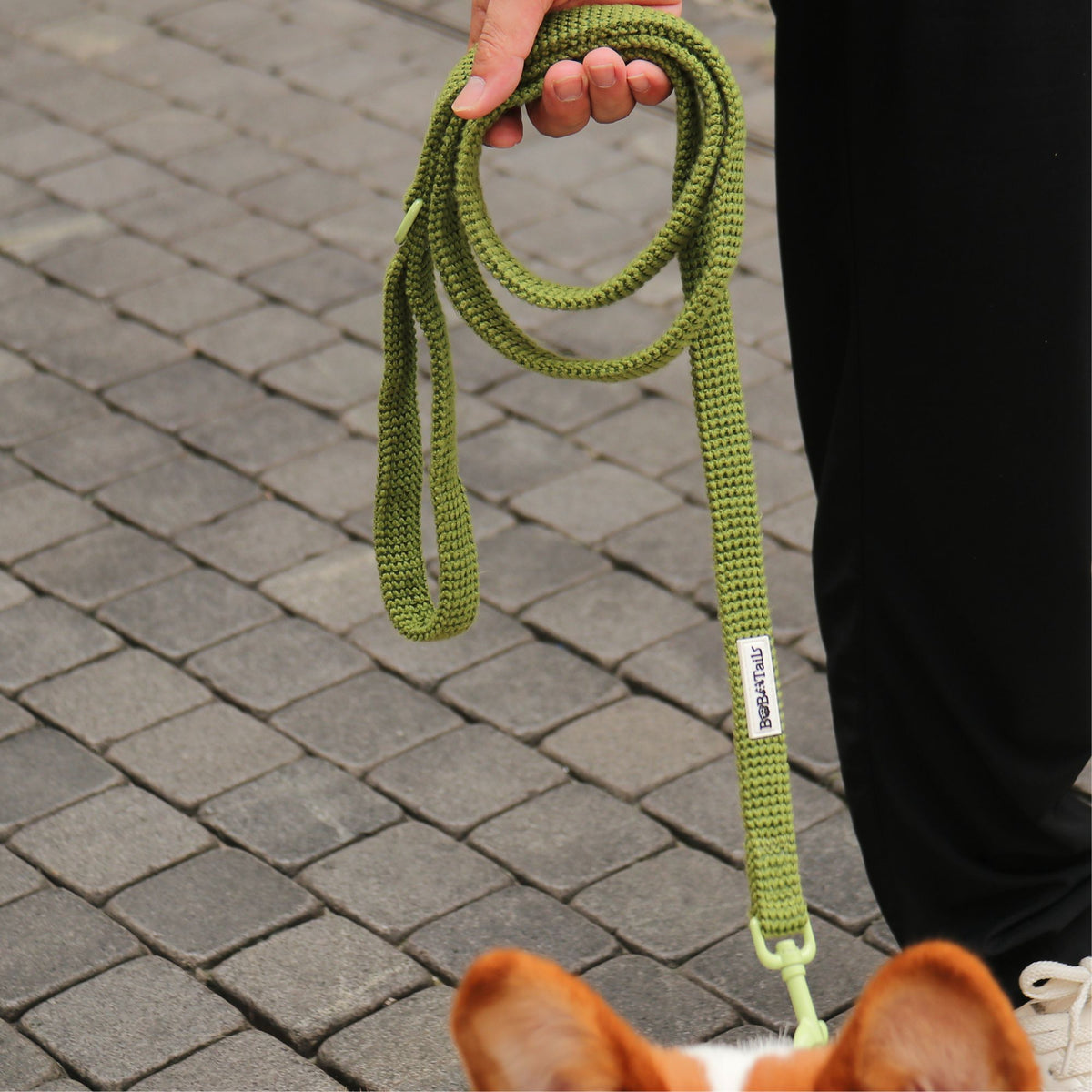 Ensemble comprenant un harnais pour pull, une laisse et un porte-sacs à crottes
