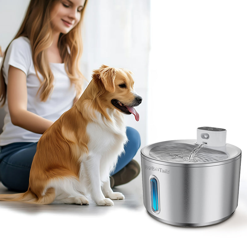 Fontaine d'eau de compagnie en acier inoxydable
