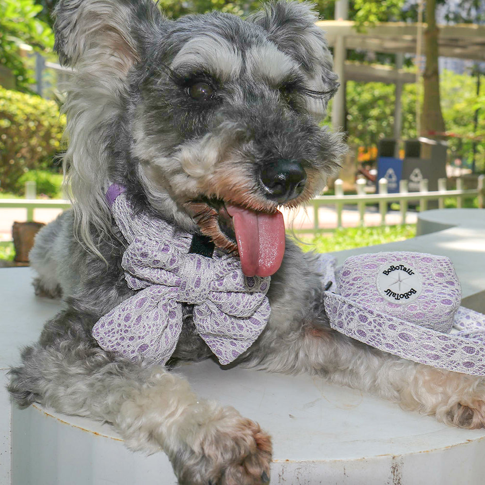 2026 Bobotails Lavender Purple New Collection Beauty of Lace Dog Bow Tie Collar