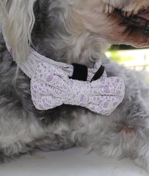 2026 Bobotails Lavender Purple New Collection Beauty of Lace Dog Bow Tie Collar