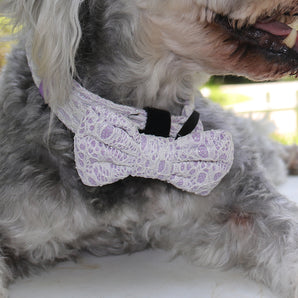 2026 Bobotails Lavender Purple New Collection Beauty of Lace Dog Bow Tie Collar