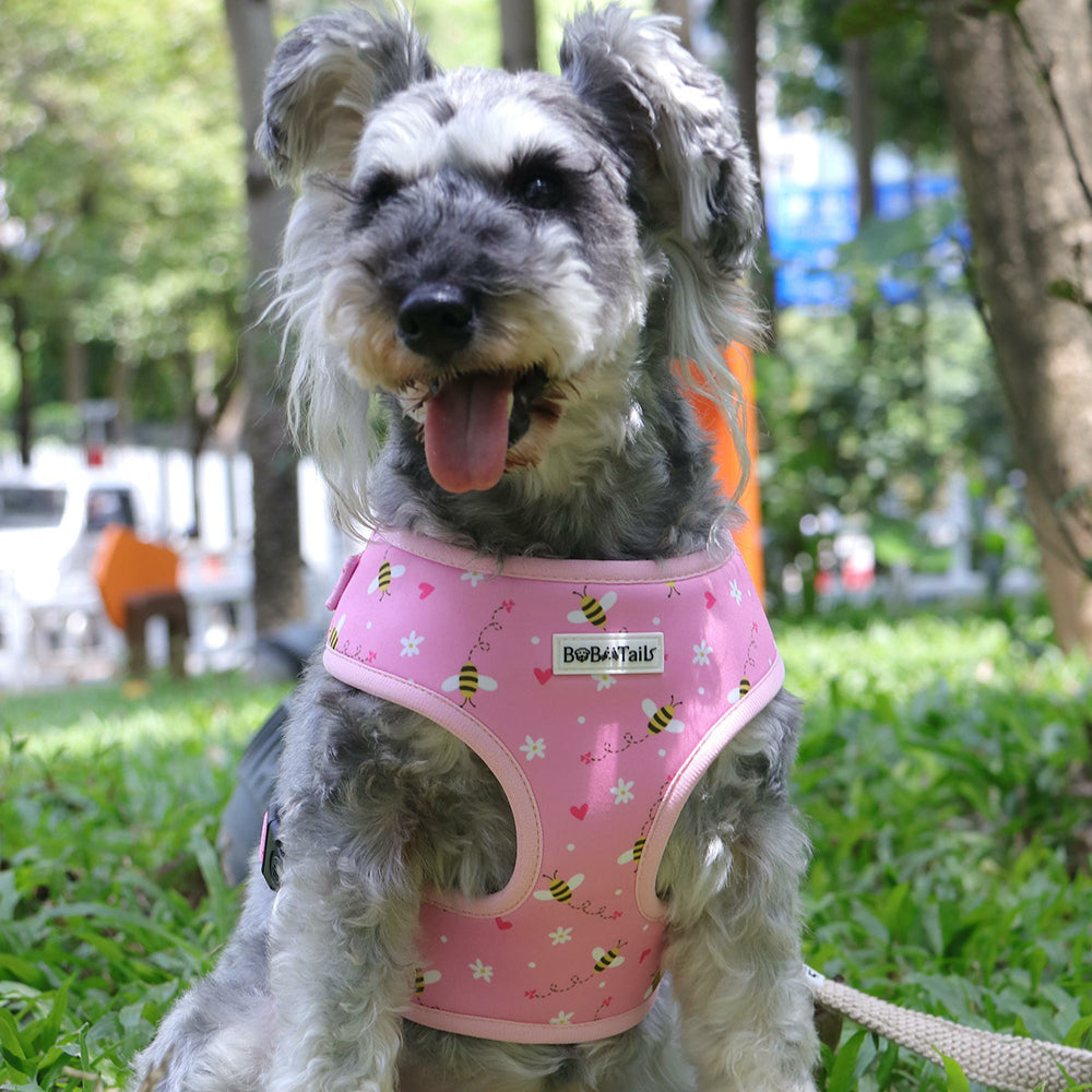 Bobotails No Tug Dog Harness with Adjustable Buckle and Soft Pad,Christmas dog harness,halloween dog harnes for small mediium dogs