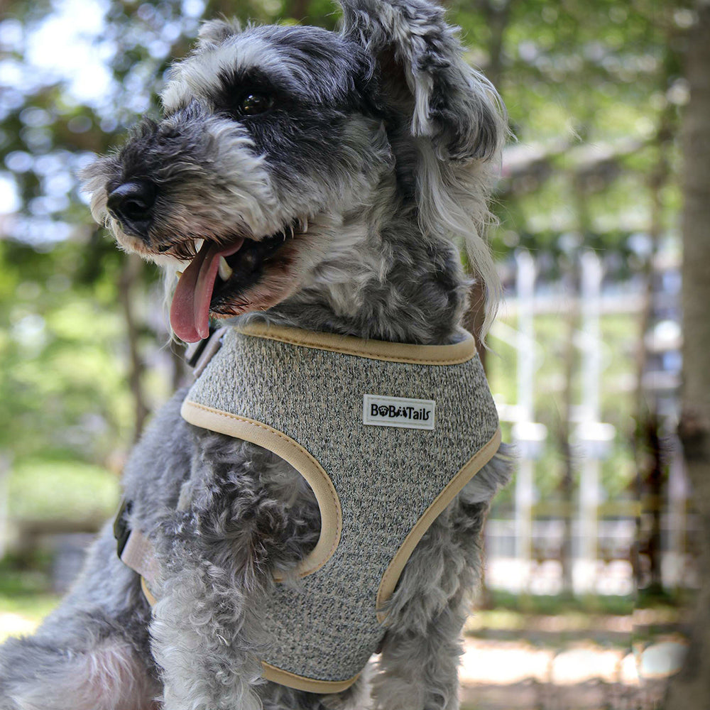 Bobotails Chunky knitted No pull Dog Harness with Leash clip set for Small and Medium Dog