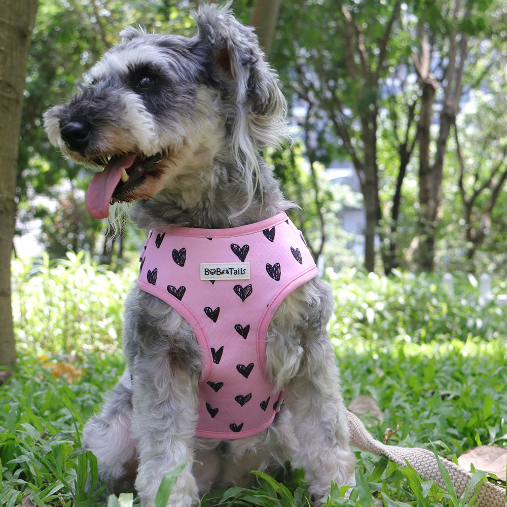 Bobotails Dog Harness,puppy harness and leash set training, Airmesh Breatheable Pet Cotton material Vest with Easy Control for Small and Medium Dogs