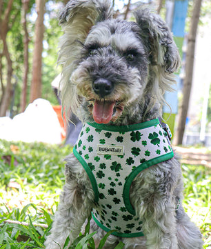 Bobotails Dog Harness, No-Pull Pet Harness with Leash Clips, Adjustable Soft Padded Dog Harness, Airmesh Breatheable Pet Cotton material Vest for hiking,travelling,outdoor activities,camping
