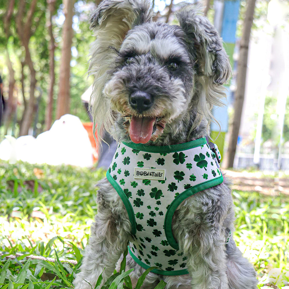 Bobotails Dog Harness,Dog Harness No Pull with 1 Dog Leash Clips, Adjustable Soft Padded Puppia Dog Harness, Airmesh Breatheable Pet Cotton material Vest with Easy Control for Dog Accessories boy