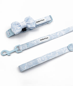 Durable Morning Glory dog collar and leash with secure metal clasp