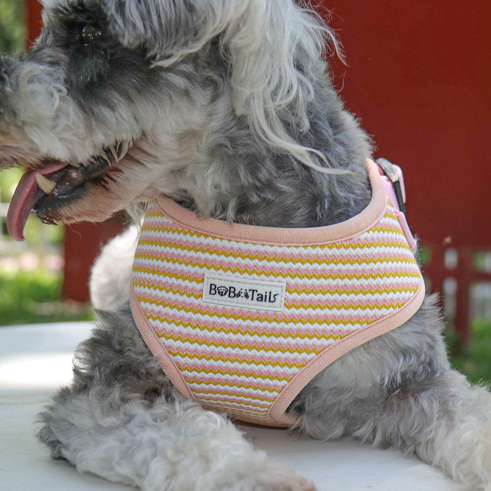 Bobotails Dog Harness, No-Pull Pet Harness with Leash Clips, Adjustable Soft Padded Dog Harness, Airmesh Breatheable Pet Cotton material Vest for hiking,travelling,outdoor activities