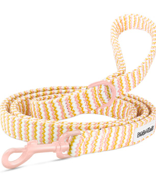Bobotails Ocean Wave Ripple Dog Lead, 2/3/5 FT Dog Tie Out with Comfortable Padded Handl Small and Medium Dogs