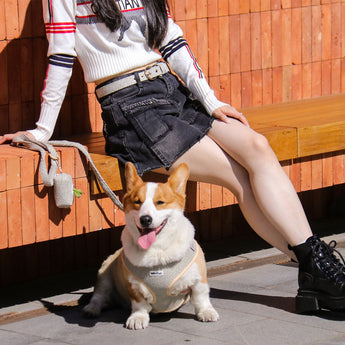 Bobotails chunky knitted dog harness leash for small and medium matching woman belt complate set
