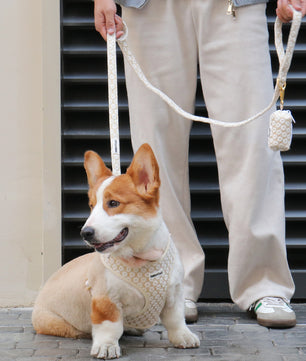 Bobotails floral brilliance matching dog leash with poop bag holder system