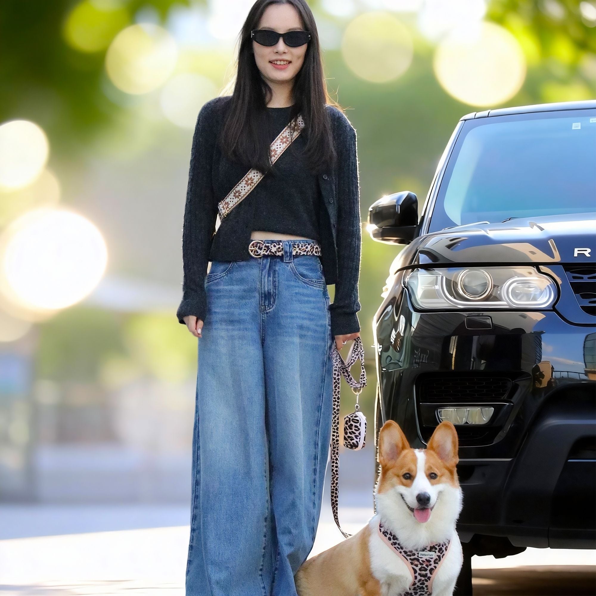 Dog wearing a leopard harness leash set  as part of a complete dog and owner matching accessory set