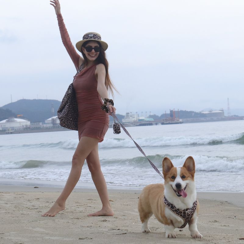Matching leopard tote bag and dog harness creating a coordinated lifestyle look for pet lovers.