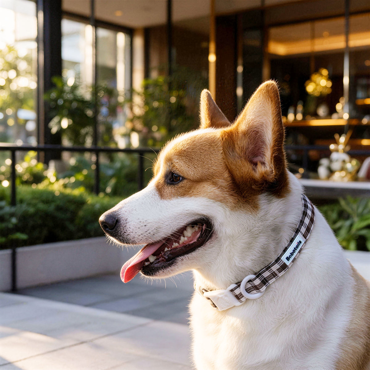 Harnais pour chien à motif écossais