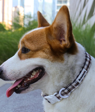 Harnais pour chien à motif écossais
