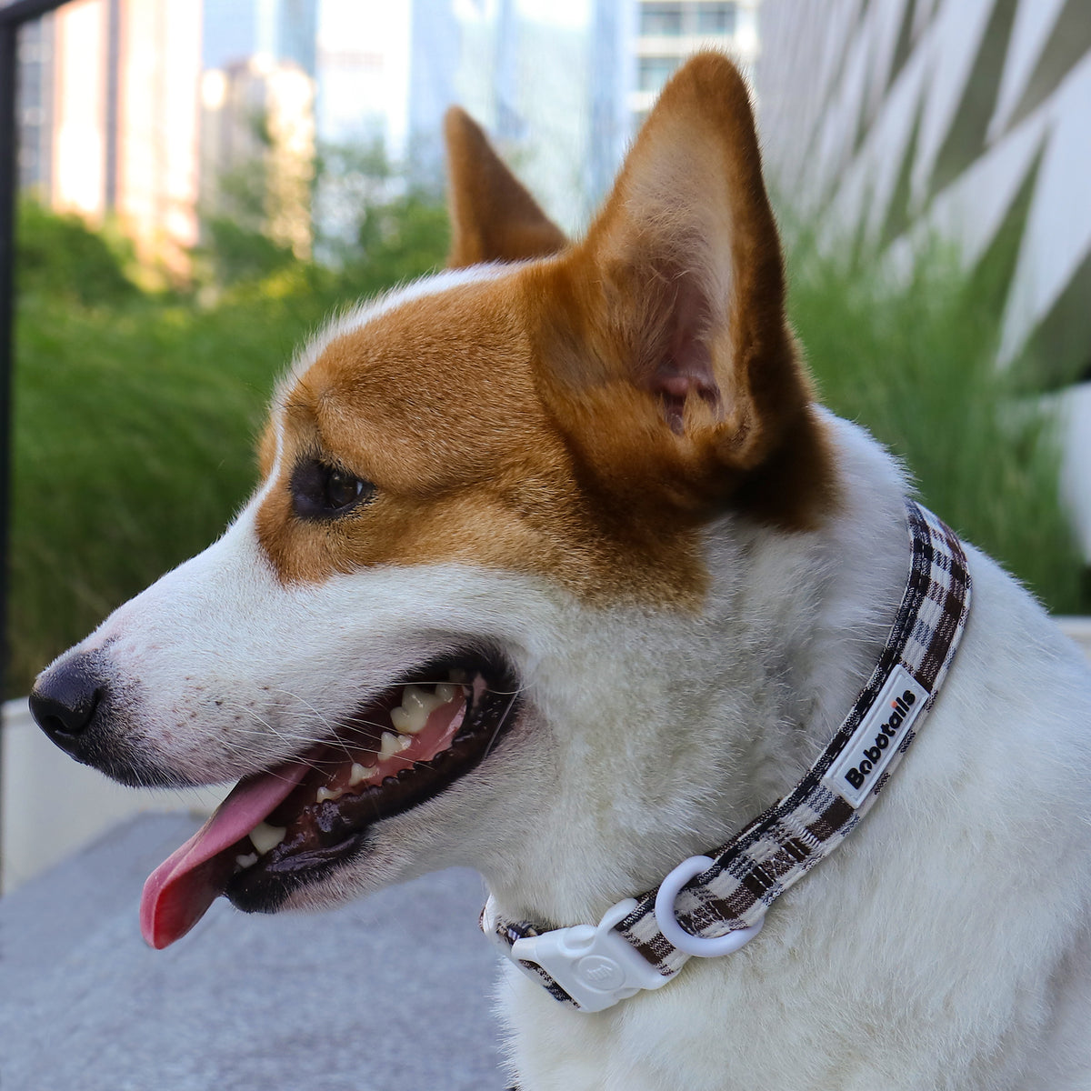 Harnais pour chien à motif écossais