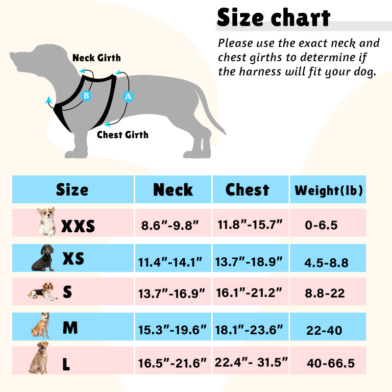 Dog harness size chart with measurements and illustrations of dogs for various sizes.