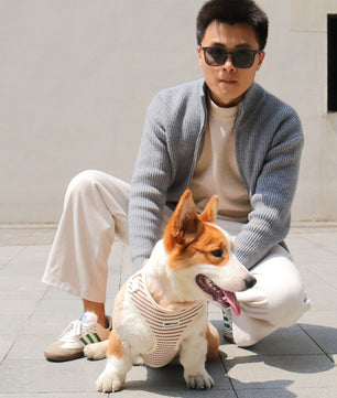 Small grain no pull dog harness adjustable vest – Bobotails