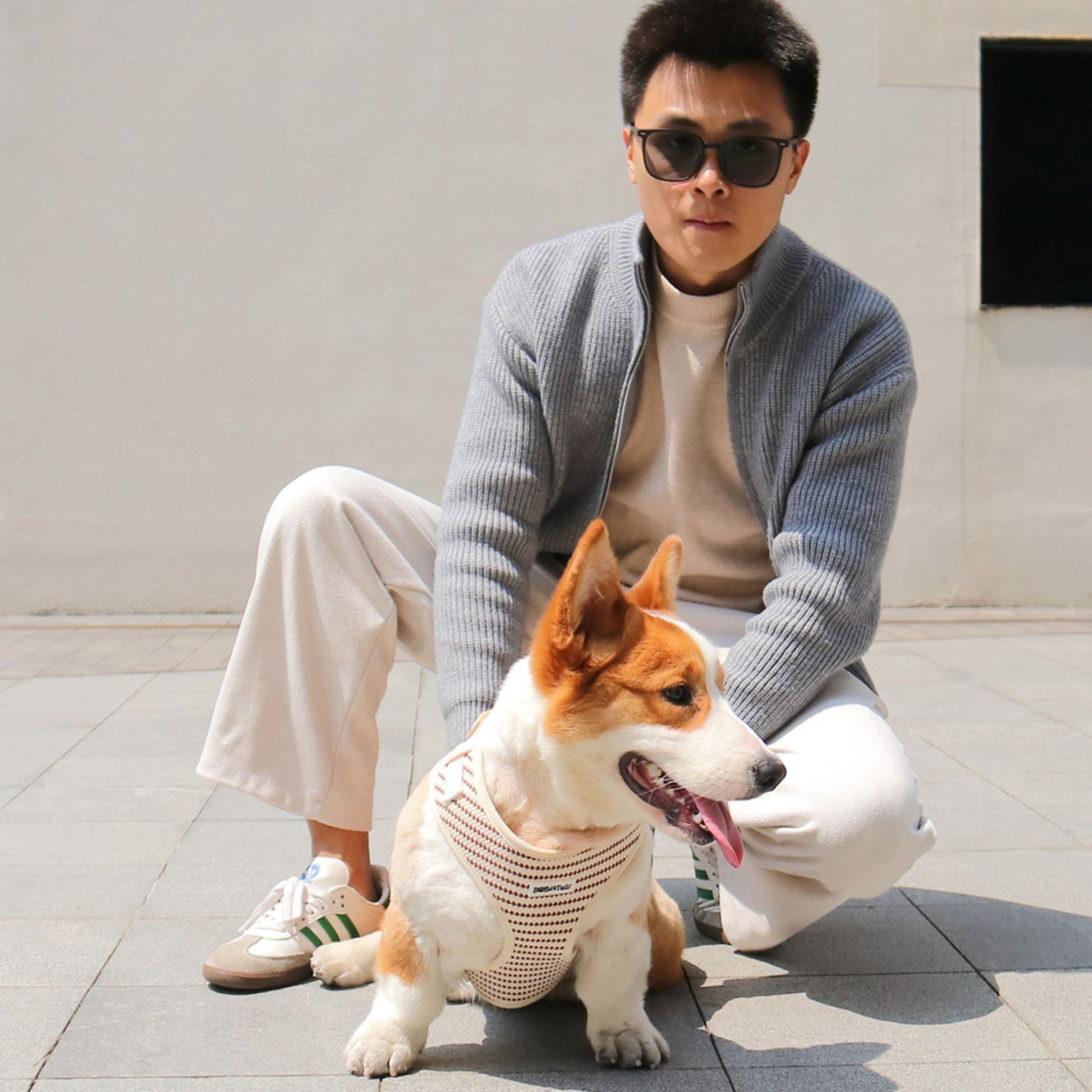 Small grain no pull dog harness adjustable vest – Bobotails