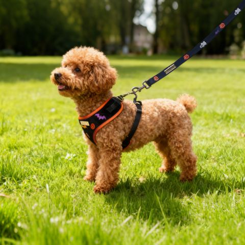 Bobotails velvet dog harness for Teddy and small sized dogs