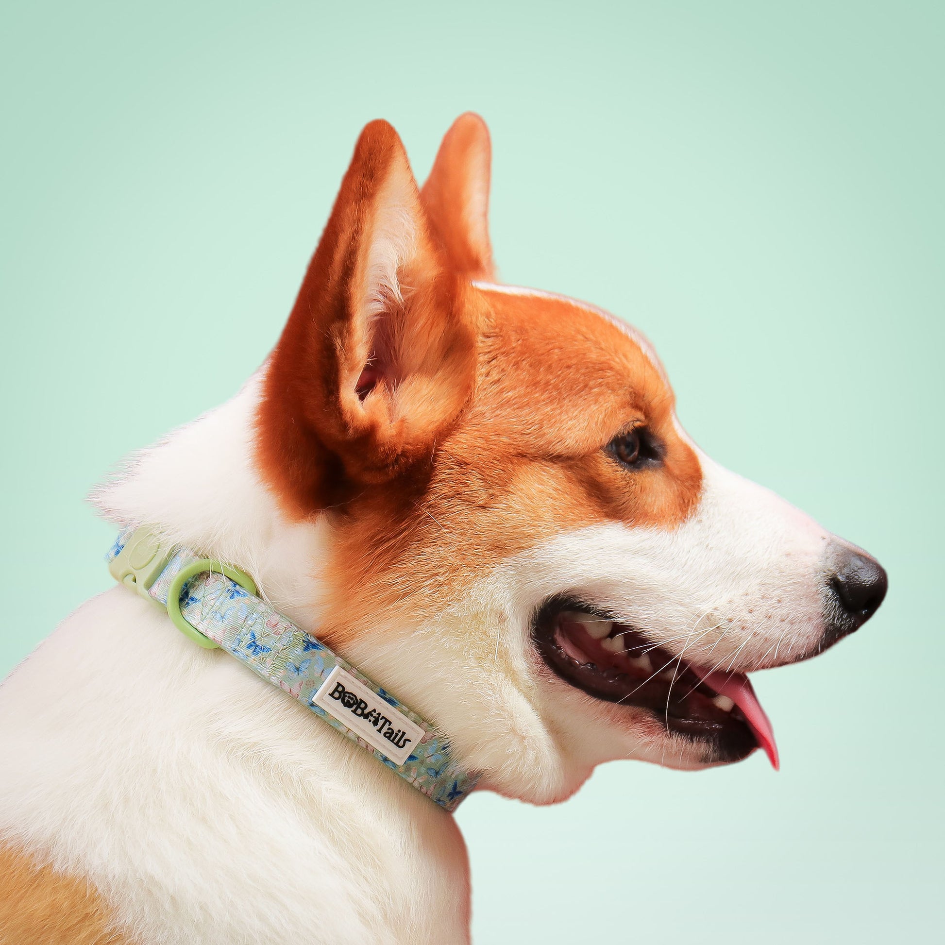 Collier de chien antique imprimé en papillon