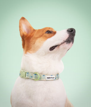 Collier de chien antique imprimé en papillon