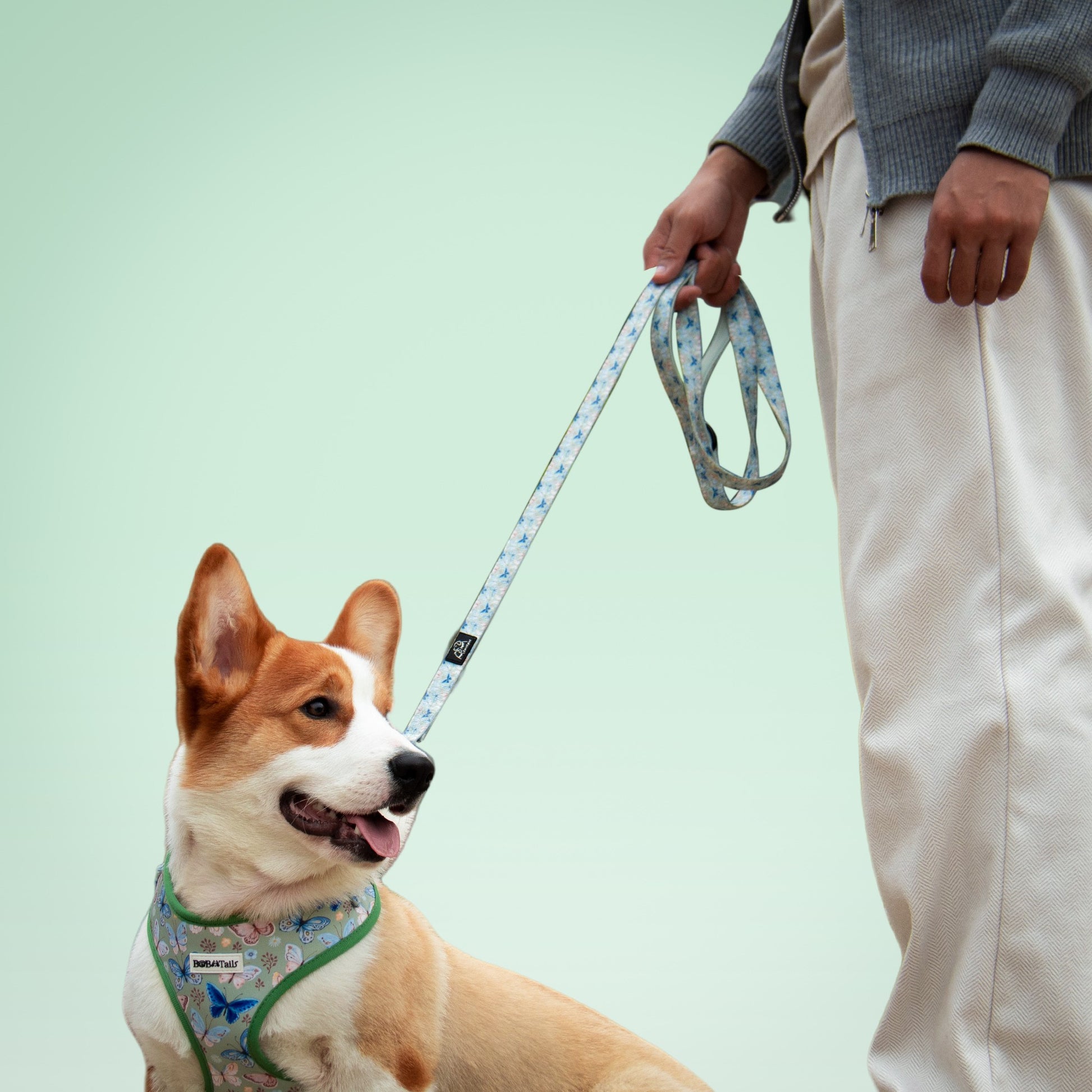 Laisse de chiens rétractable imprimée en papillon
