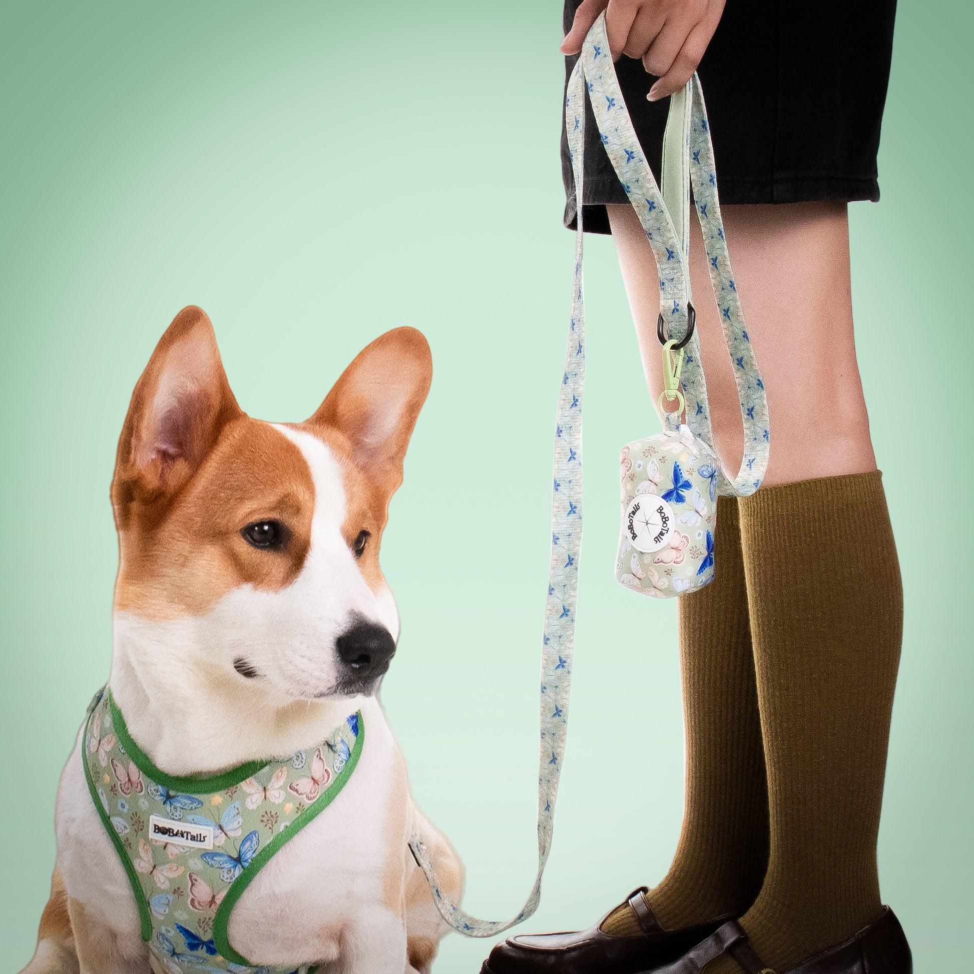 Laisse de chiens rétractable imprimée en papillon