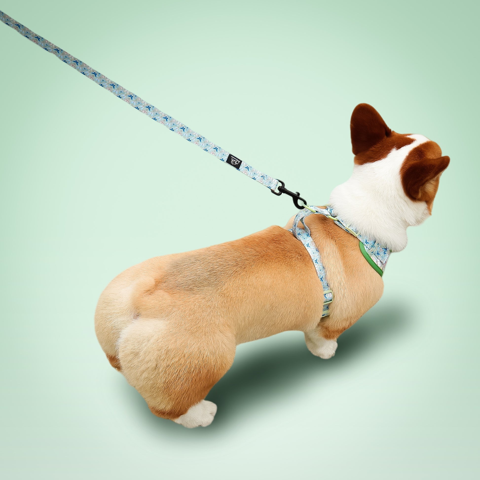 Laisse de chiens rétractable imprimée en papillon