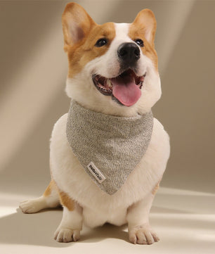 Bandanas de chien en tricot