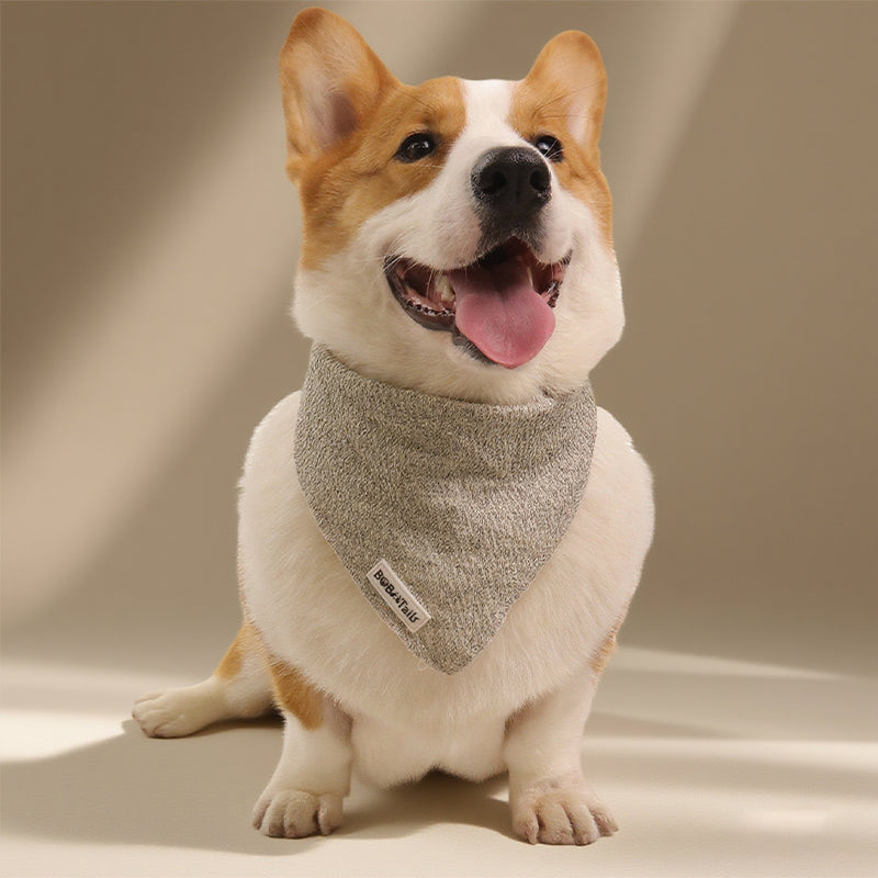 Bandanas de chien en tricot
