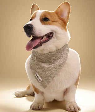 Bandanas de chien en tricot