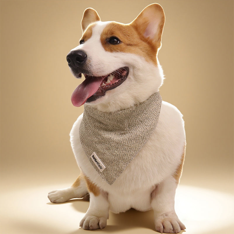 Bandanas de chien en tricot