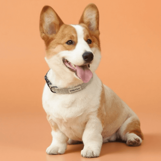 Chunky knit dog collar soft adjustable small dogs – Bobotails