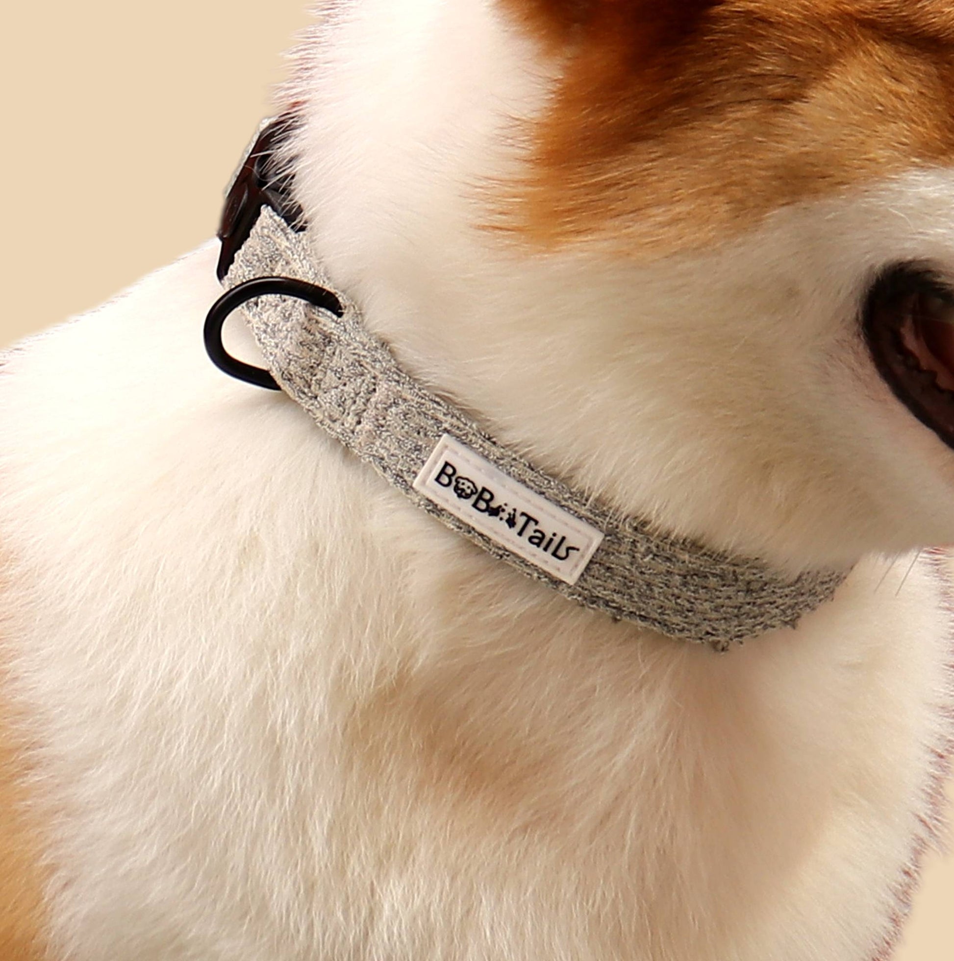 Colliers de chien de boucle à blouser