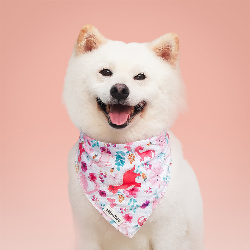 White dog wearing a dinosaur printed bandana on a pink background