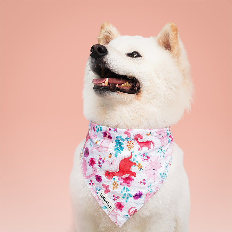 White dog wearing a dinosaur printed bandana with pink and blue designs on a pink background