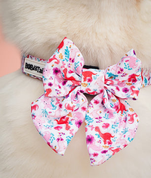 Dinosaur Printed best slip leash for dogs matching the harness and owner accessories in a coordinated set