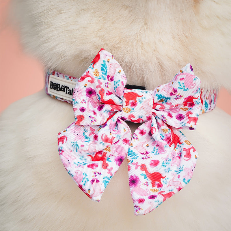Dinosaur Printed best slip leash for dogs matching the harness and owner accessories in a coordinated set
