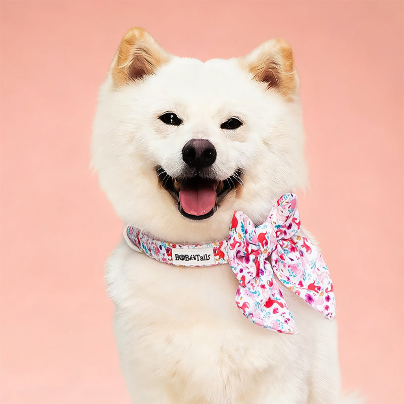 Dinosaur Printed bow tie collar dogs matching the harness and owner accessories in a coordinated set