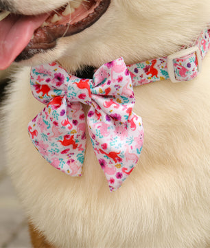 Dinosaur Printed small dog bow tie collarmatching the  harness and owner accessories for daily dog walks