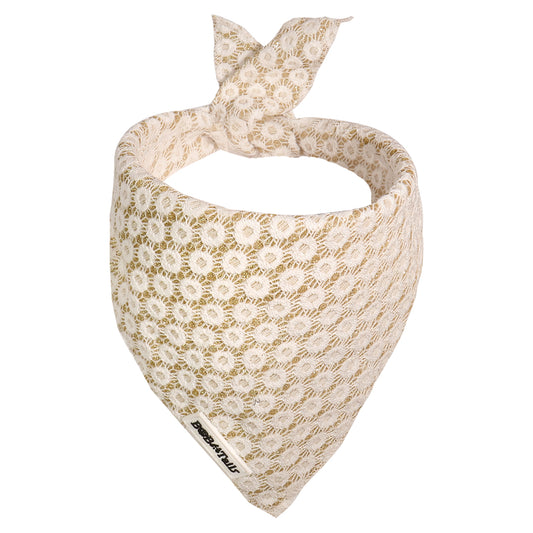 Bandanas de chiens floraux de brillance