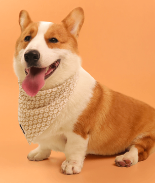 Bandanas de chiens floraux de brillance