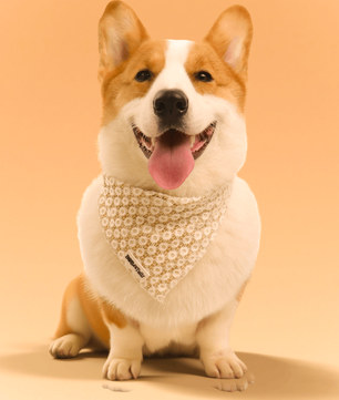 Bandanas de chiens floraux de brillance