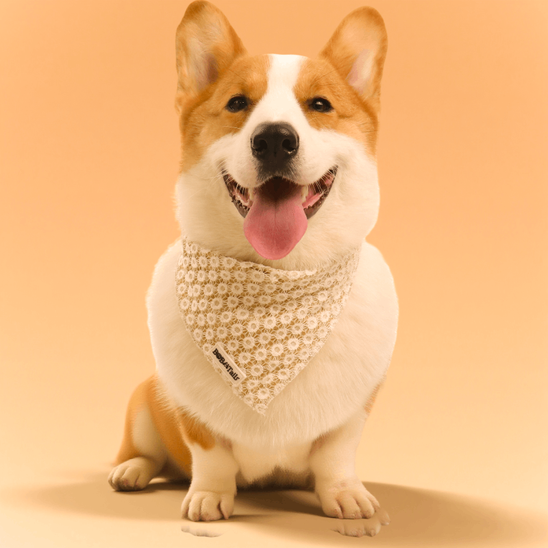 Bandanas de chiens floraux de brillance