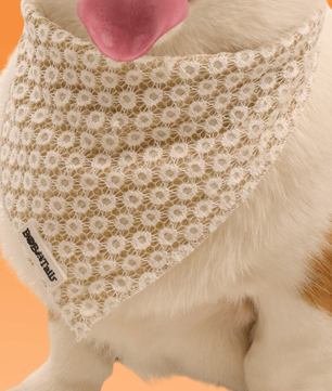 Bandanas de chiens floraux de brillance