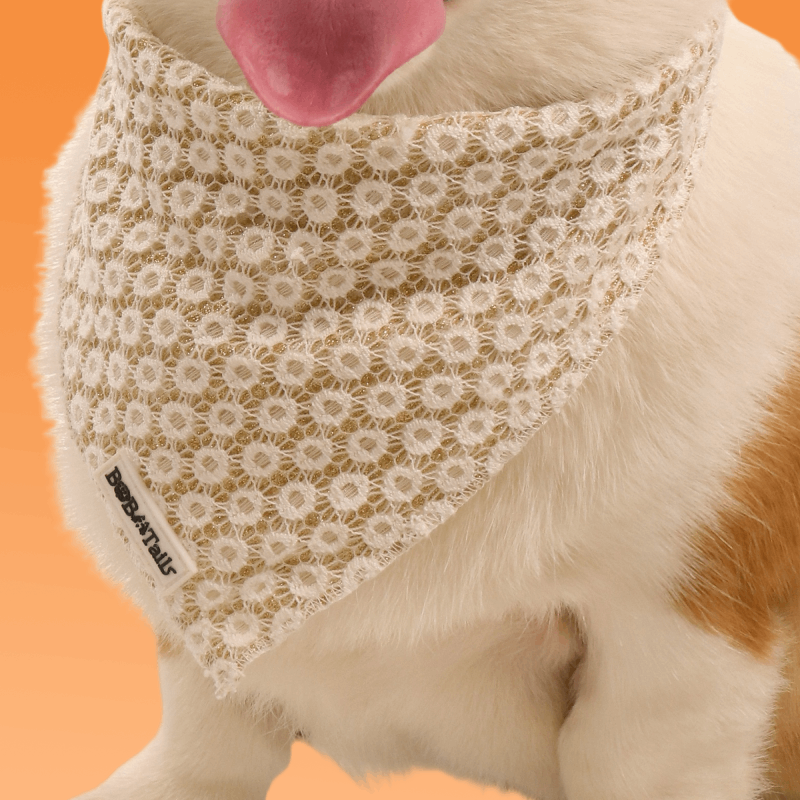 Bandanas de chiens floraux de brillance