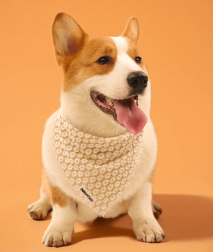 Bandanas de chiens floraux de brillance
